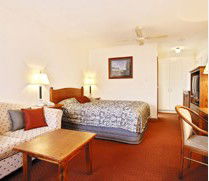  Accommodation Bookings