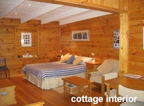Anglesea Rivergums - Accommodation Bookings 0