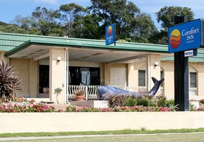 Comfort Inn Albany - Accommodation Bookings 0