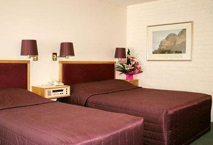 Comfort Inn Albany - Accommodation Bookings 4
