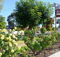 Narrogin Motel - Accommodation Bookings