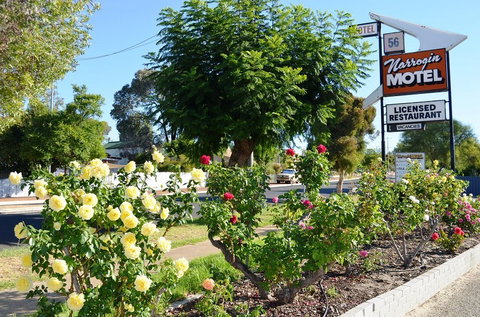 Narrogin Motel - Accommodation Bookings 0