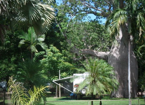 Kimberleyland Holiday Park - Accommodation Bookings 5