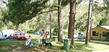 Glass House Mountains Holiday Village - thumb 2