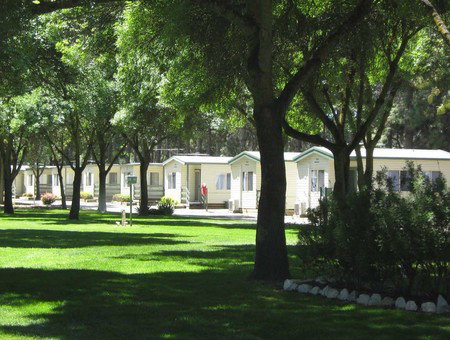 BIG 4 Barossa Tourist Park - Accommodation Bookings 0