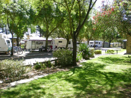 BIG 4 Barossa Tourist Park - Accommodation Bookings 1