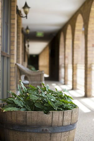 Cumberland Motor Inn - Accommodation Bookings 4