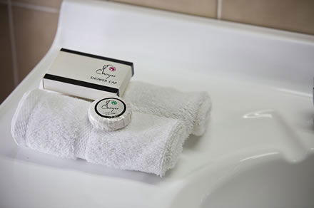 Cumberland Motor Inn - Accommodation Bookings 7