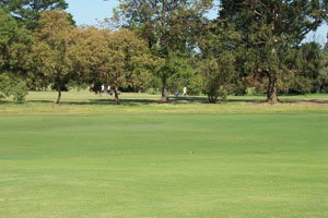 Beach Motor Inn - Accommodation Bookings 7