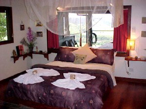 Daintree Cloud 9 - Accommodation Bookings 0