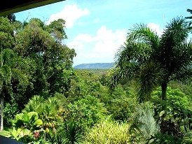 Daintree Manor - thumb 3