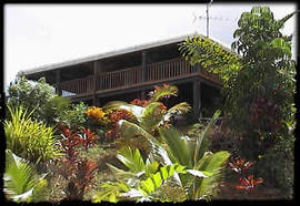 Daintree Manor - thumb 5