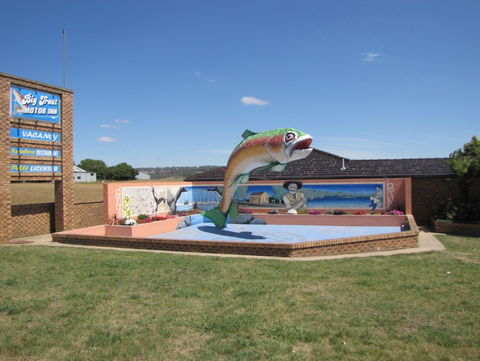 The Big Trout Motor Inn - Accommodation Bookings 0