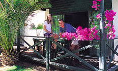 Desert Palms Resort - Accommodation Bookings 3