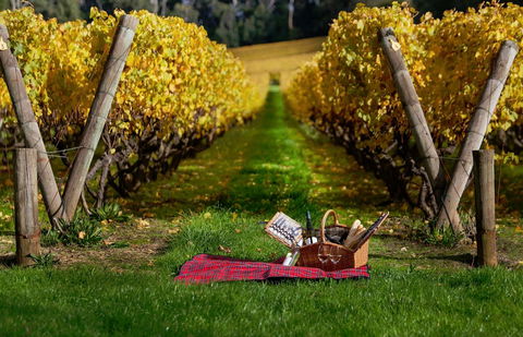 Lindenderry At Red Hill - Accommodation Bookings 5