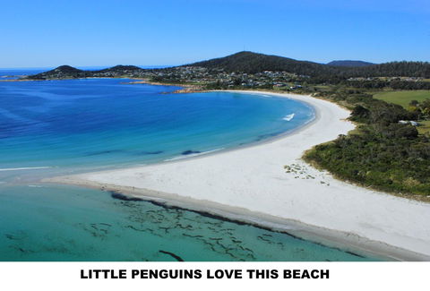 Diamond Island Resort - Accommodation Bookings 5