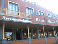 Harp Deluxe Hotel - Accommodation Bookings 0