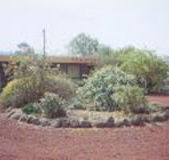 Beaufort Motel - Accommodation Bookings