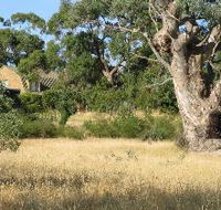 Wings Barossa Bird and Bush Retreat - Accommodation Bookings