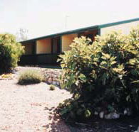 The Fig Tree Bed  Breakfast - Accommodation Bookings