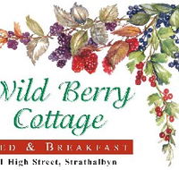 Wild Berry Cottage - Accommodation Bookings