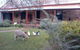 Liebelt House - thumb 0