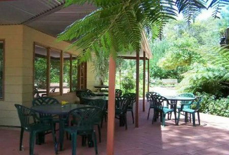 Rainforest Retreat - Accommodation Bookings 1