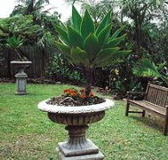 Bangalow Retreat - Accommodation Bookings