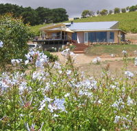 The Blue Grape Vineyard Accommodation - Accommodation Bookings