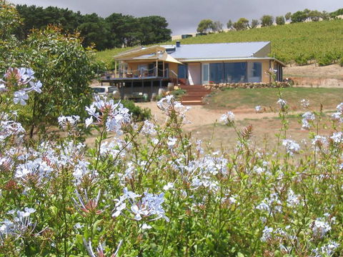 The Blue Grape Vineyard Accommodation - Accommodation Bookings 0