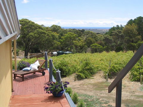 The Blue Grape Vineyard Accommodation - Accommodation Bookings 1