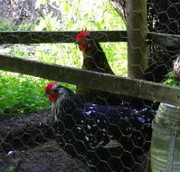 Norma's Place - Accommodation Bookings