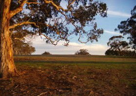 Mirrabooka Bed And Breakfast - Accommodation Bookings 1