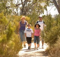 Long Island Caravan Park Cabins - Accommodation Bookings