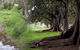 Rivergum Cottage - thumb 0