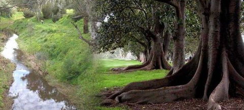 Rivergum Cottage - Accommodation Bookings 0