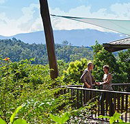 Rose Gums Wilderness Retreat - Accommodation Bookings