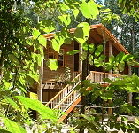 Rivers Edge Rainforest Retreat - Accommodation Bookings