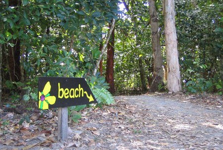 Cape Tribulation Camping - Accommodation Bookings 2