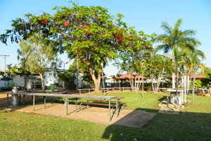 Gulf Country Caravan Park - Accommodation Bookings 2