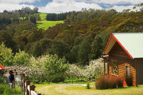 Elvenhome Farm Cottage - Accommodation Bookings 5