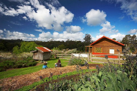 Elvenhome Farm Cottage - Accommodation Bookings 6