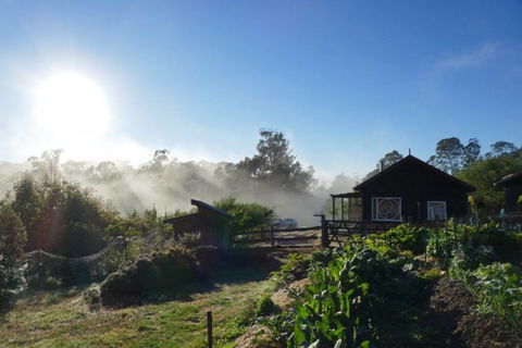 Elvenhome Farm Cottage - Accommodation Bookings 9