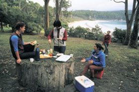 Fortescue Bay TAS Accommodation Bookings