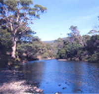Douglas River Cabin - Accommodation Bookings