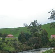 Tin Dragon Trail Cottages - Accommodation Bookings
