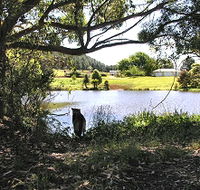 Newry Park Cottage - Accommodation Bookings