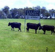Cluan Homestead - The Managers Residence - Accommodation Bookings
