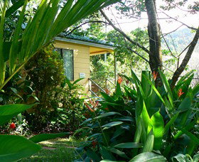 Daintree Valley Haven - Accommodation Bookings 0
