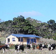 Marrawah Beach House - Accommodation Bookings